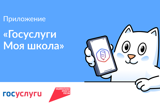 В Пензенской области приложением «Госуслуги. Моя школа» пользуются уже 43,5 тысячи школьников и их родителей